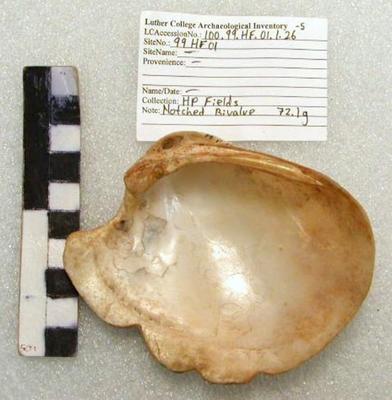 1969.002.00267; faunal -shell