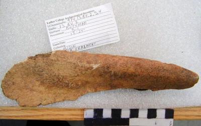 1974.002.00094; Faunal Bone- Bison Scapula Fragment