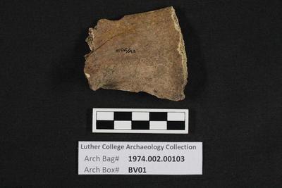 1974.002.00103; Faunal Bone- Scapula Fragment