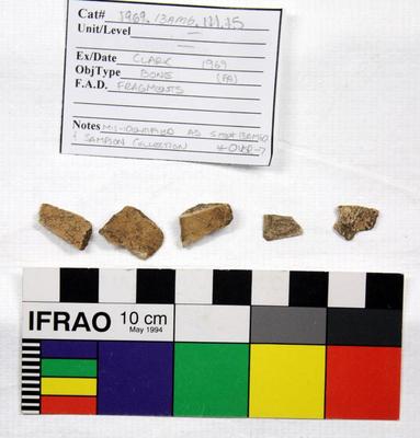 1969.003.00307; Faunal Bone- Fragment