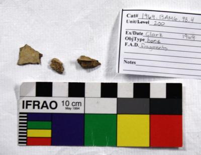 1969.003.00272; Faunal Bone- Fragment