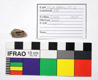 1969.003.00239; Faunal Bone- Fragment