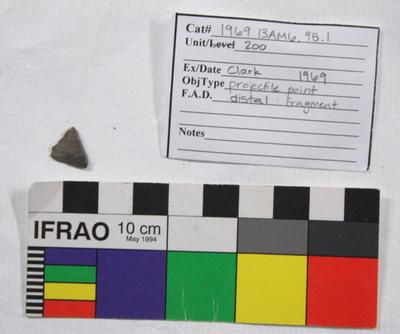 1969.003.00261; Stone Projectile Point
