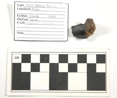 1969.003.00250; Faunal Bone- Burned Fragment