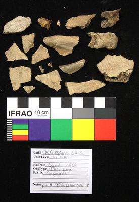 1969.003.00156; Faunal Bone- Fragment