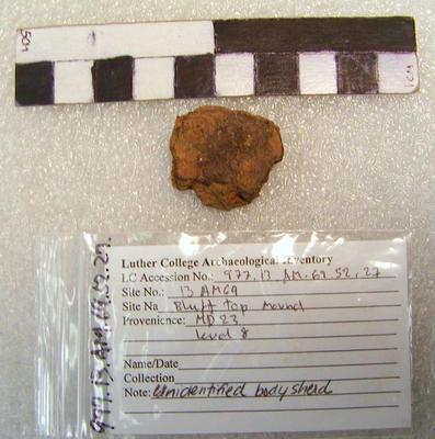 1977.003.00249; Ceramic Body Sherd