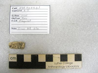 1976.001.00002; Faunal Bone- Fragment