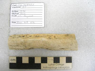 1976.001.00001; Faunal Bone- Rib Fragment
