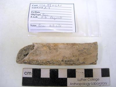 1976.001.00011; Faunal Bone- Rib Fragment