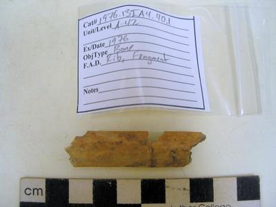 1976.001.00048; Faunal Bone- Rib Fragment