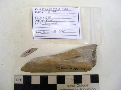 1976.001.00052; Faunal Bone- Fragment