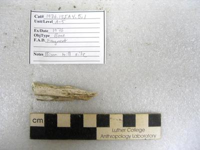 1976.001.00007; Faunal Bone- Fragment