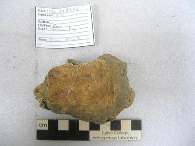 1976.001.00005; Faunal Bone- Sternum Fragment