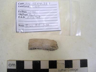 1976.001.00027; Faunal Bone- Fragment