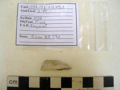 1976.001.00053; Faunal Bone- Fragment