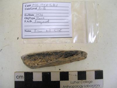 1976.001.00020; Faunal Bone- Fragment