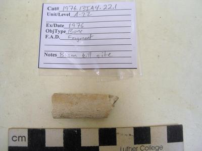 1976.001.00026; Faunal Bone- Fragment