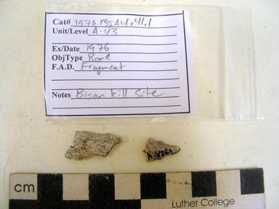 1976.001.00051; Faunal Bone- Fragment