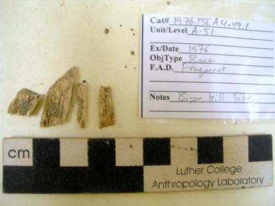 1976.001.00065; Faunal Bone- Fragment
