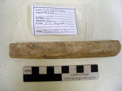 1976.001.00077; Faunal Bone- Rib Fragment