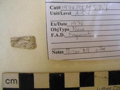 1976.001.00068; Faunal Bone- Fragment
