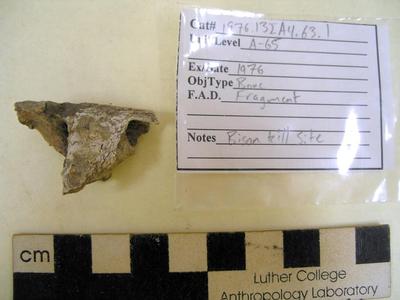 1976.001.00080; Faunal Bone- Fragment