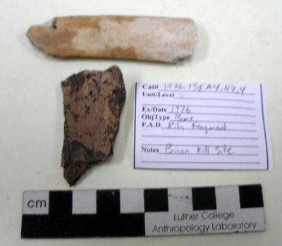 1976.001.00156; Faunal Bone- Rib Fragment
