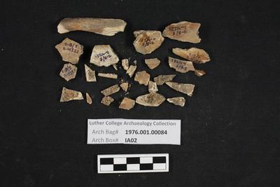 1976.001.00084; Faunal Bone- Mandible Fragment