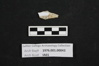 1976.001.00043; Faunal Bone- Fragment