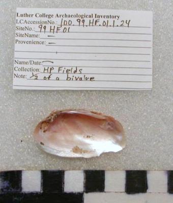 1969.002.00265; faunal -shell