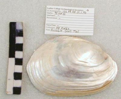 1969.002.00281; faunal -shell