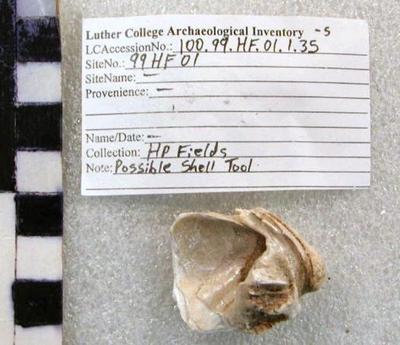 1969.002.00276; faunal -shell