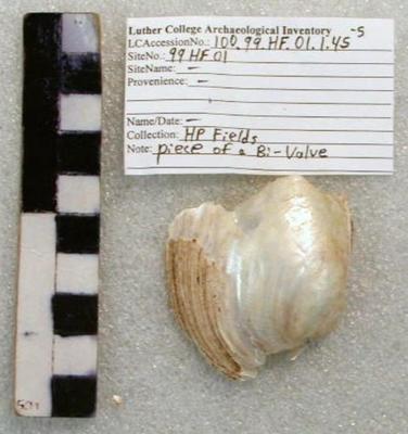 1969.002.00286; faunal -shell