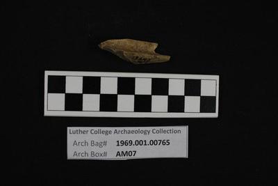 1969.001.00765; Faunal Bone- Fragment