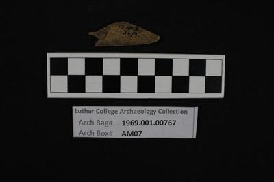 1969.001.00767; Faunal Bone- Fragment
