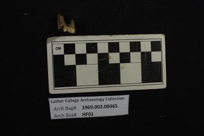1969.002.00365; faunal -tooth