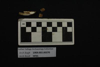 1969.002.00370; faunal -tooth