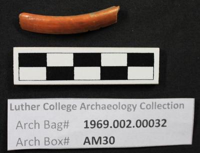 1969.002.00032; Faunal Bone- Beaver Tooth
