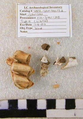 2002.001.00097; Faunal Bone- Molar