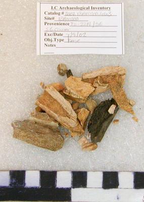 2002.001.00298; Faunal Bone- Fragment