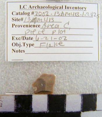 2002.001.01309; Chipped Stone- Flake