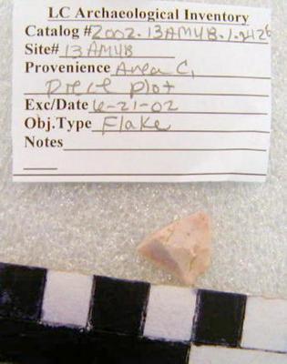 2002.001.01310; Chipped Stone- Flake