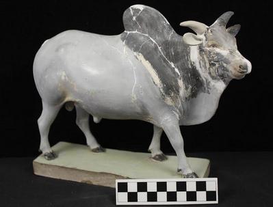 E1260: India– Clay Figurine, Bull