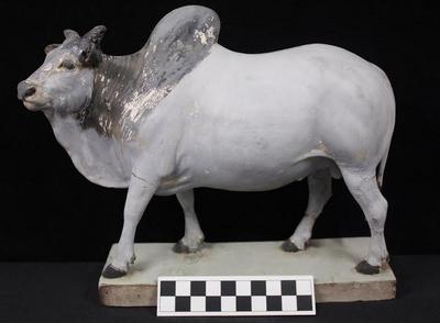 E1259: India– Clay Figurine, Bull