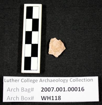 2007.001.00016: chipped stone: flake- tertiary