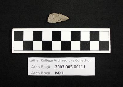 2003.005.00111: chipped stone-projectile point