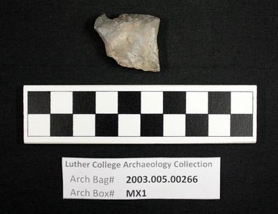 2003.005.00266: chipped stone-projectile point
