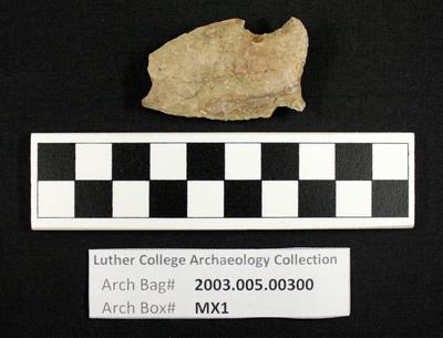 2003.005.00300: chipped stone-projectile point