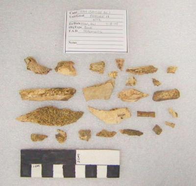 2004.001.00275; Faunal Bone- Fragment
