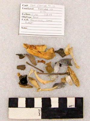 2004.001.00346; Faunal Bone- Fragment
